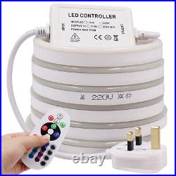220V 5050 RGB LED Neon Lights Rope Lamp Flexible Outdoor Lighting Waterproof