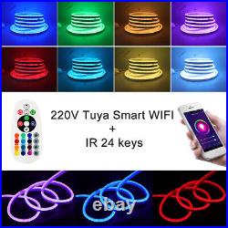 220V 5050 RGB LED Strip Neon Flex Rope Lights WIFI Xmas DIY Lighting Waterproof