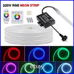 220V 5050 RGB Neon LED Strip Lights Flexible Light Commercial Lighting+Controler