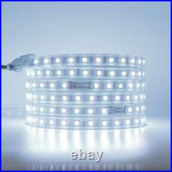 LED Strip 220V 230V Waterproof 5050 SMD RGB Lights Flexible Rope Lamp Commercial