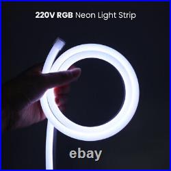 Neon LED Strip 220V Flexible Bright Rope Light Waterproof Outdoor Xmas UK Remote